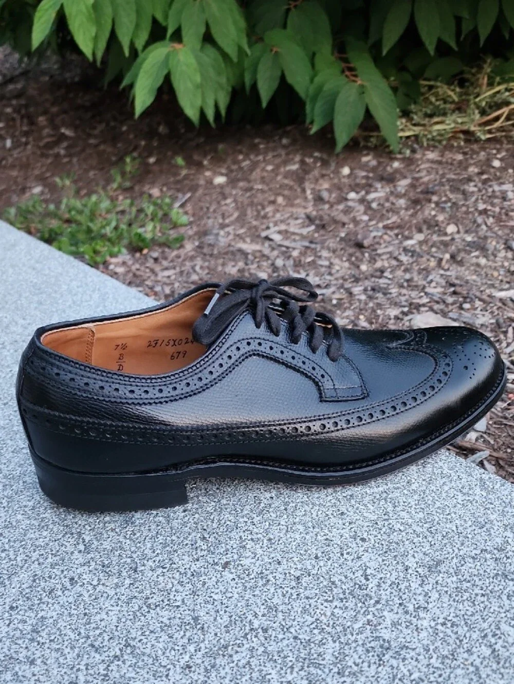 Alden 679 Black Alpine Grain Long Wing Blucher Shoes 7.5 D